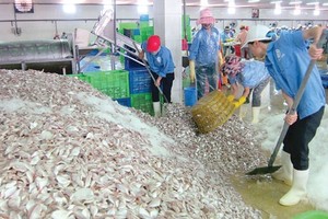 Kl991.com World Cup 2026 Chính Thức chế biến thủy sản tại Thanh Hóa ‘đói’ nguyên liệu