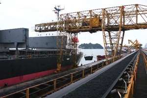DN ngành than chờ kết quả Kl992 VIP Trang Chủ 2026 khởi sắc trong quý IV/2015
