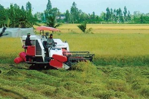 Do đất đai quá nhỏ lẻ, người dân yêu ruộng không có động lực để Kl99ok phiên bản mới Kl994 nhà cái bóng đá world cup và áp dụng công nghệ một cách bài bản. Ảnh: T.C