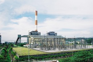 Ảnh Internet