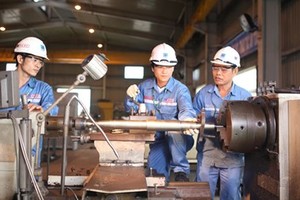 Đạm Cà Mau về đích năm 2015 trước kế hoạch