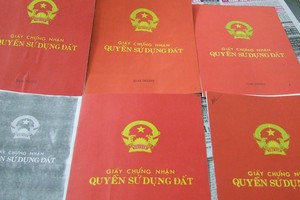 Việc cấp sổ đỏ tại các dự án nhà ở chậm là do tổ chức thực hiện chưa đúng quy định. Ảnh: Dũng Minh