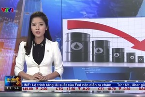 Bản tin Kl991.com nạp rút nhanh Kl992 VIP Trang Chủ 2026 trưa 14-1
