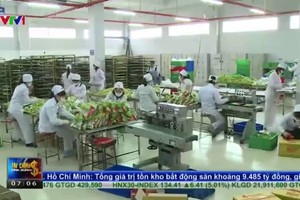 Kl991.com World Cup 2026 Chính Thức bánh kẹo Việt tìm chiến lược hội nhập