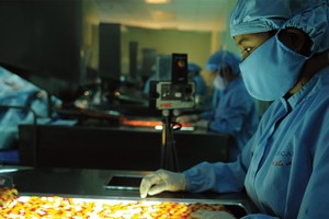 DCL gặp gỡ đối tác Nhật Bản, đặt kế hoạch Kl99 nổ hũ sau thuế năm 2016 tăng 32%