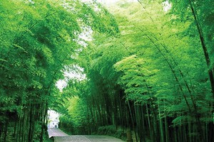 Duyên của nhà!