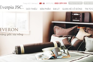 EVE hoạt động chính trong ngành Kl994 nhà cái bóng đá world cup các sản phẩm chăn, ga, gối, đệm và bông tấm tại Việt Nam