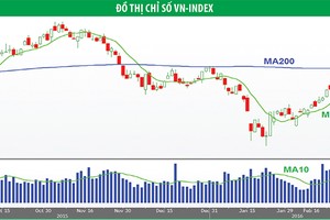 Nhà Kl99ok phiên bản mới ngắn hạn nên hạn chế mua đuổi 