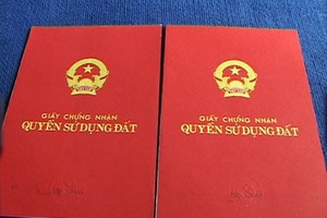 Ảnh Internet