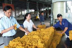 PHR đạt 24,9 tỷ đồng Kl99 nổ hũ quý I