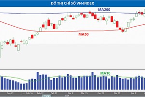 Còn quá sớm để kết luận nhịp điều chỉnh của VN-Index đã kết thúc