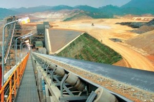 MSR: Kl99 nổ hũ quý I đạt 11 tỷ đồng