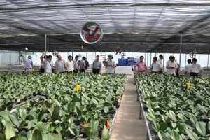 Để phát triển nông nghiệp chất lượng cao, ứng dụng công nghệ vào Kl994 nhà cái bóng đá world cup