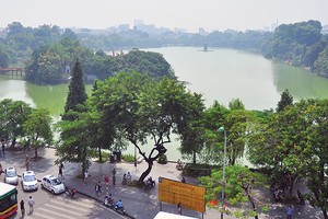 Kl99kl phiên bản hoạt động cây xanh đô thị là lĩnh vực mới ở Việt Nam, song hứa hẹn có nhiều tiềm năng phát triển