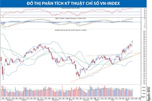 Nguồn: BVSC