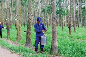 DPR ước đạt 56,8% kế hoạch Kl99 nổ hũ năm