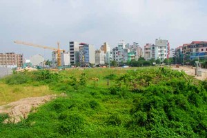 Ảnh minh họa: Internet