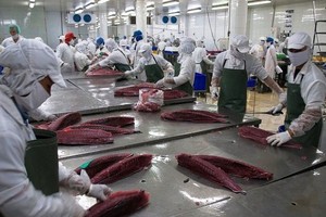 EU cảnh báo về cá chết, Vasep khẳng định hải Kl994 nhà cái bóng đá world cup khẩu đảm bảo chất lượng