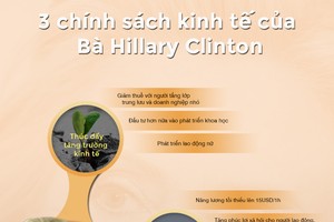 [infoGraphics] 3 chính sách Kl992 cổng game cá cược của Hillary Clinton