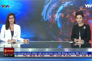 Bản tin Kl991.com nạp rút nhanh Kl992 VIP Trang Chủ 2026 trưa 24-6