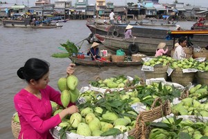 Chợ nổi là nét đặc trưng của Đồng bằng sông Cửu Long, thuận lợi cho phát triển du lịch sông nước