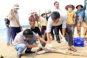 Sự cố môi trường gây thiệt hại nặng nề cho người dân 4 tỉnh miền Trung.