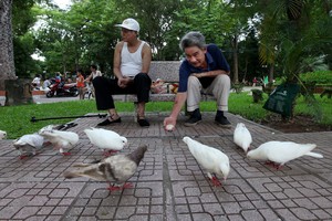 Khám phá những không gian xanh đẹp nhất Thủ đô 