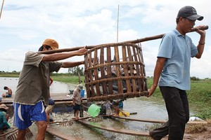 Các nhà Kl99kl phiên bản hoạt động hiện đang gặp nhiều khó khăn trong việc kiểm soát quy trình nuôi trồng thủy sản