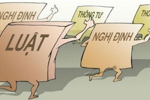 Ảnh Internet