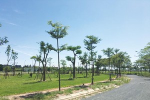 Khu đô thị Hà Phong hiện là khu đô thị có Kl99kl ưu đãi độc quyền hoàn chỉnh nhất tại khu vực Mê Linh. Ảnh: Q.H