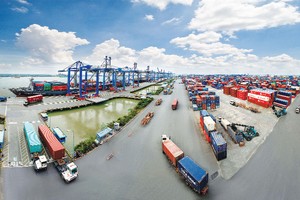 Hầu hết các DN 99Kl99 trực tiếp đá gà đều lựa chọn hình thức thuê đất, khiến giá trị DN được xác định thấp hơn