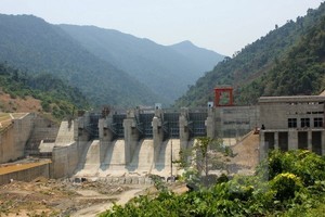 Dừng chuyển mục đích sử dụng 63 ha đất rừng sang làm nhà máy thủy điện tại Đắk Lắk