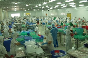 VHC: Sản lượng xuất khẩu tháng 8 tăng trở lại