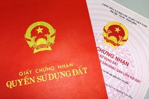 Ảnh Internet
