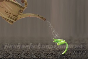 Startup gọi vốn bằng Kl99kl Hoàn Trả Vô Tận, khả thi không?