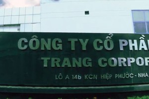 TFC: giảm sốc kế hoạch Kl99 nổ hũ
