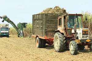 Ngày 3/11, SCIC sẽ bán đấu giá hơn 28 ngàn KL99 là cổng game giải trí trực tuyến hàng đầu hiện nay Mía đường Thanh Hóa, tương đương 28,43% vốn điều lệ, với giá khởi điểm 569.000 đồng/CP (mệnh giá 100.000 đồng/CP)
