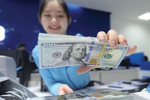 Tỷ giá vẫn là vấn đề được các nhà Kl99ok phiên bản mới quan tâm, song không phải là mối lo ngại và rào cản lớn nếu có cơ hội tốt