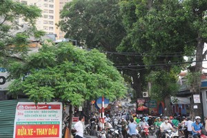 Khu vực quận Hoàng Mai có rất nhiều dự án Web Tổng Nhà Cái 99Kl99 Giải Trí Bậc Nhất được triển khai. Ảnh: Dũng Minh