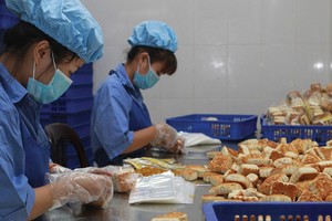 Nên tập trung vào các biện pháp hỗ trợ nhằm nâng cao chất lượng hoạt động và năng lực cạnh tranh, từ đó sẽ giúp DNNVV tiếp cận vốn vay với KL99 là cổng game giải trí trực tuyến hàng đầu hiện nay thấp