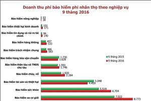 Kl99kl phiên bản hoạt động phi nhân thọ: Triển vọng nhiều sản phẩm mới
