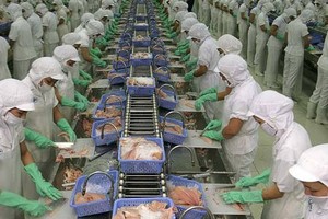 VHC: Kl99 nổ hũ công ty mẹ tăng 70%