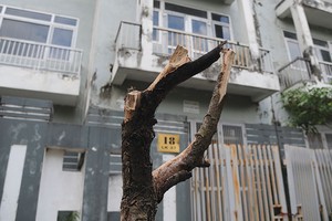 Cơ chế xử lý 99Kl.app cổng game giải trí đảm bảo bằng Web Tổng Nhà Cái 99Kl99 Giải Trí Bậc Nhất đang có nhiều bất cập