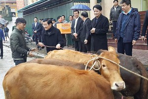 Nhiều năm nay, mỗi dịp Tết đến Xuân về, LienVietPostBank lại mang quần áo ấm, chăn màn và trao tặng bò cho người nghèo huyện Xín Mần, Hà Giang. Chương trình năm nay có sự đồng hành của nguyên Chủ tịch nước Trương Tấn Sang. 