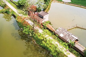 PGS-TS Trang Chủ KL99Com Số 1 Link Đăng Ký KL999 học Nguyễn Tuấn Anh: Thiếu vốn Trang Chủ KL99Com Số 1 Link Đăng Ký KL999 thì không vay mượn của ai được