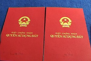 Ảnh Internet