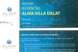 Tiếp vụ khách hàng “tố” Alma: Tên dự án hay tên Kl991.com World Cup 2026 Chính Thức?