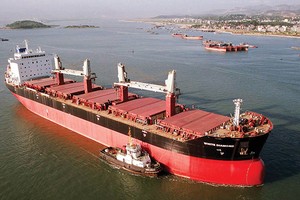 Kl99kl phiên bản hoạt động hàng hải có dấu hiệu sôi động trở lại