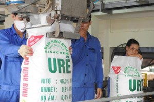 Yêu cầu Kiểm toán 99Kl99 trực tiếp đá gà, Thanh tra Kl993 ưu đãi thưởng hấp dẫn gửi các báo cáo về 12 đại dự án của ngành công thương