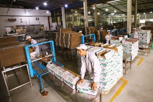 Chủ tịch GTN: GTN có hơn 1.100 tỷ đồng tiền gửi Link Vào Nhà Cái KL99 COM Tặng +199k